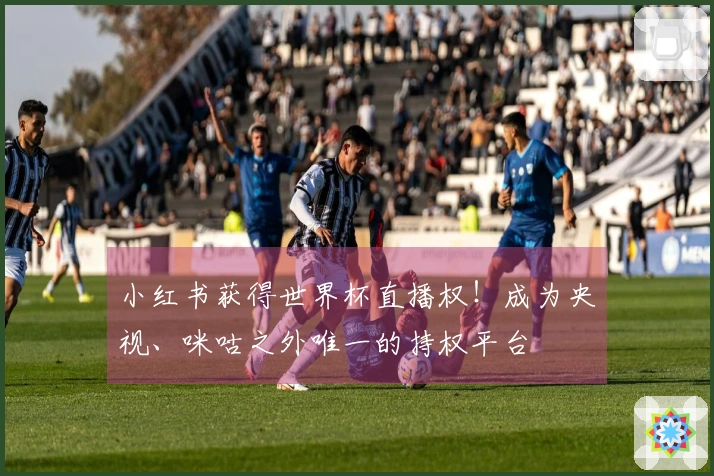 小红书获得世界杯直播权!成为央视、咪咕之外唯一的持权平台